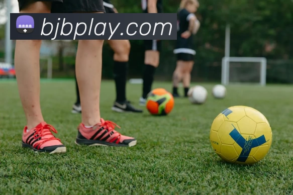 百家博娱乐城官网平台生态图