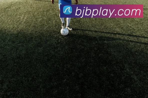 百家博娱乐城官网全站App